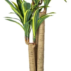 Artificial Dracaena Tree With Pot Yellow 52in - Vickerman 7 Artificial Dracaena Tree With Pot Yellow 52in - Vickerman -Vickerman GUEST 01000f77 4c5a 4499 8776 47ce76e39597