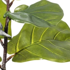 Vickerman 18" Green Fiddle Leaf Plant In Mini Black Pot.