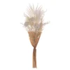 Vickerman 23" Artificial Cream Straw Flower, Pampas Grass, Palm, And Fern Bouquet.