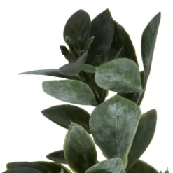 Vickerman -Vickerman GUEST 4cc0f41b 5739 4543 a255 522444513481