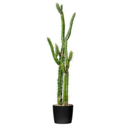 Vickerman Artificial Toothpick Cactus 17 Vickerman Artificial Toothpick Cactus -Vickerman GUEST 4e37a96a b931 4c49 a8b1 52a883f97ea2