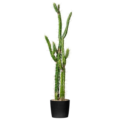 Vickerman Artificial Toothpick Cactus 9 Vickerman Artificial Toothpick Cactus - Image 9