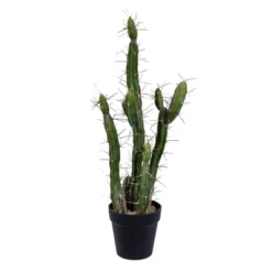 Vickerman Artificial Toothpick Cactus 15 Vickerman Artificial Toothpick Cactus -Vickerman GUEST 54028474 7761 4171 9d8f 3d6fbd9ca413