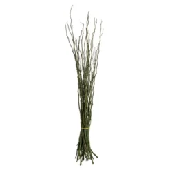 Vickerman 34-40" Moneta Branches, Dried 16oz -Vickerman GUEST 64864506 9aca 47a0 b755 d571ad63b504
