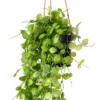 Vickerman 29" Artificial Green Mini Leaf Ivy In Hanging Pot.