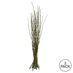 Vickerman 34-40" Moneta Branches, Dried 16oz -Vickerman GUEST 88863abd 698f 4374 9f68 18629add4641