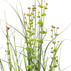 Artificial Eucalyptus Grass Potted (36") - Vickerman 11 Artificial Eucalyptus Grass Potted (36") - Vickerman -Vickerman GUEST 8ca92419 4270 48e7 84ab 952f83ff72d2