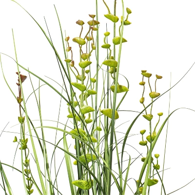 Artificial Eucalyptus Grass Potted (36") - Vickerman 6 Artificial Eucalyptus Grass Potted (36") - Vickerman - Image 6