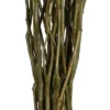Vickerman 34-40" Moneta Branches, Dried 16oz