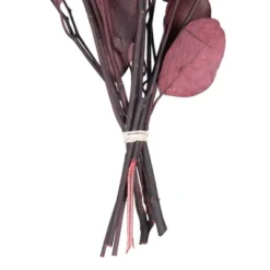 Vickerman Natural Botanicals 18-20" X 8" Eucalyptus Populus, 100 Grams Per Unit -Vickerman GUEST a8f1788b a1a2 4452 8ee0 5ec14c04a94f