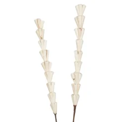 Vickerman Natural Botanicals 24" Natural Dried Sola Rajani Stick- 24 Sticks/polybag. It Measures 24 Inches Long. It Includes Twenty-four Pieces Per