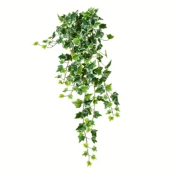 Vickerman Artificial Varigated Ivy Hanging Bush -Vickerman GUEST b89bcd60 5138 433c b4a6 0a227c6804bf