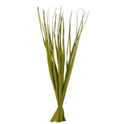 Vickerman Rush Grass, Dried 7oz -Vickerman GUEST c2492730 1ef7 4df4 b9be 7080b462cfb7