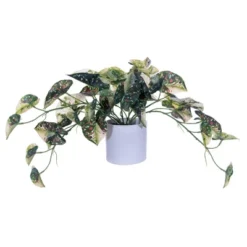 Vickerman 16" Artificial Green Variegated Leaves In Pot.