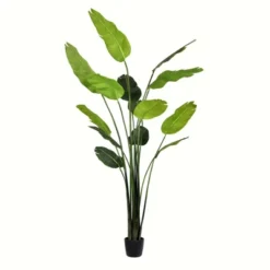 Vickerman Artificial Potted Travellers Palm Tree 7 Vickerman Artificial Potted Travellers Palm Tree -Vickerman GUEST e8ce8a2e 1303 4939 a5a5 aa405f61aa90