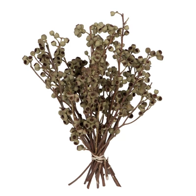 Vickerman Natural Botanicals 14" X 1-3" Ambernut Branch 6 Vickerman Natural Botanicals 14" X 1-3" Ambernut Branch - Image 6