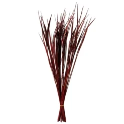 Vickerman 28"-36" Splinter Grass Bundle, 22oz Dried -Vickerman GUEST efb64aee 3634 4698 8d6c cb0cb286344f